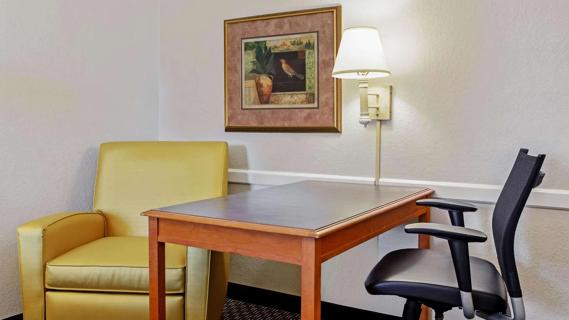 Hotel La Quinta Inn By Wyndham Tampa Bay Pinellas Park Clearwater